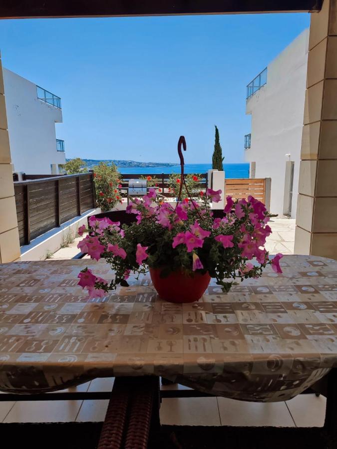 3 Bedroom Seaview Villa Direct In Coral Bay With Pool Dış mekan fotoğraf