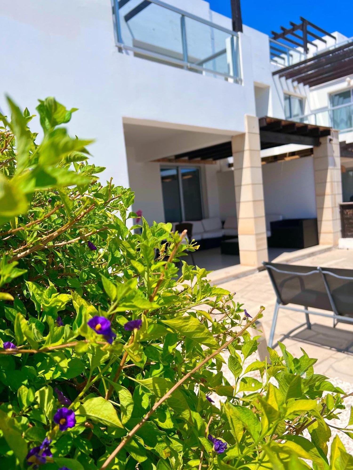3 Bedroom Seaview Villa Direct In Coral Bay With Pool Dış mekan fotoğraf